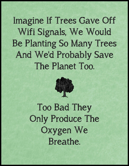 Wifi on trees